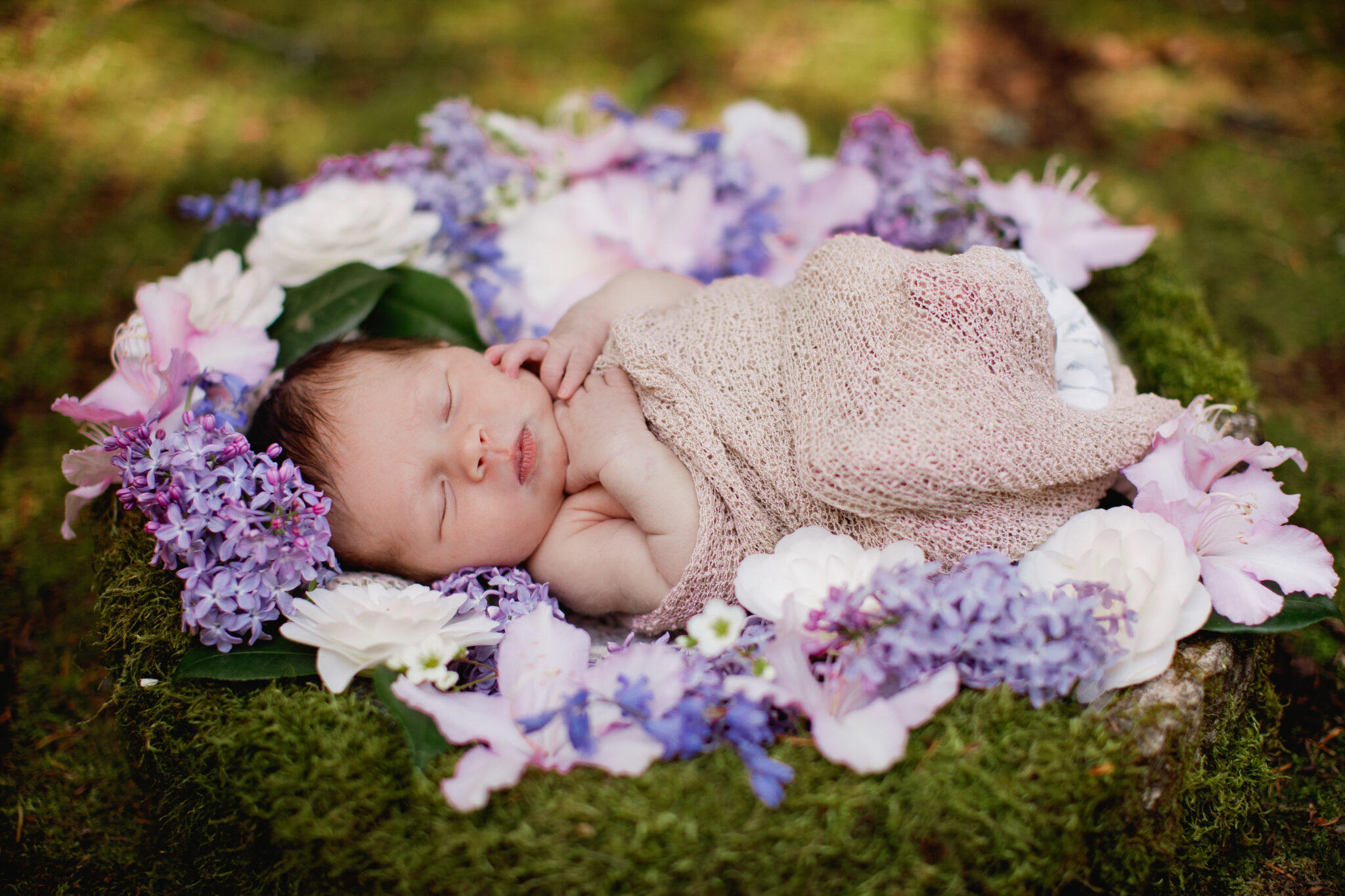 Hello Baby Beatrix (Bellingham Newborn Photographer) - Jagger Photography